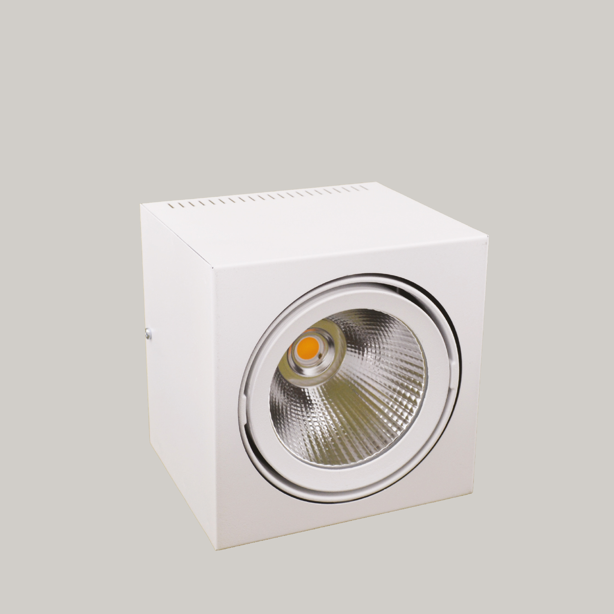 Fera-FM Surface Mounted